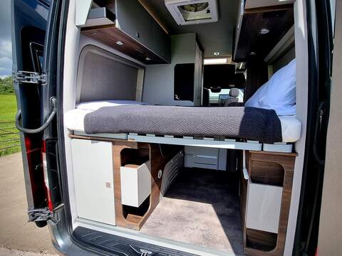 Robeta Adonis  - N472