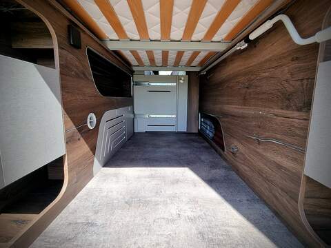 Robeta Adonis  - N472