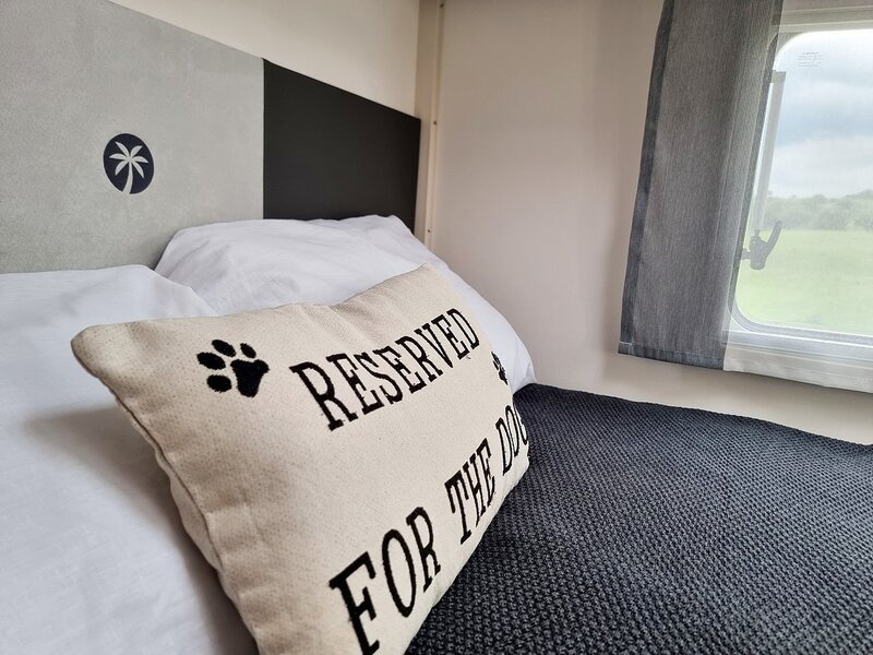 Sunlight T58 Adventure  - N480