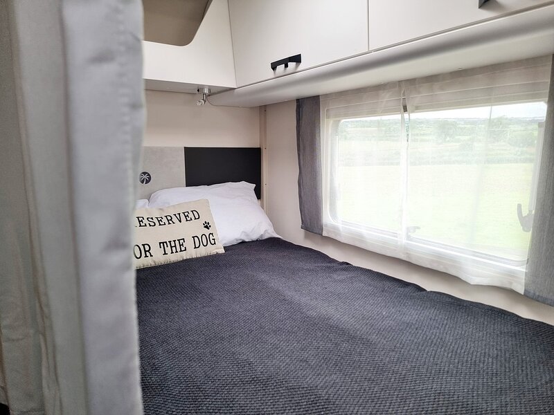 Sunlight T58 Adventure  - N480