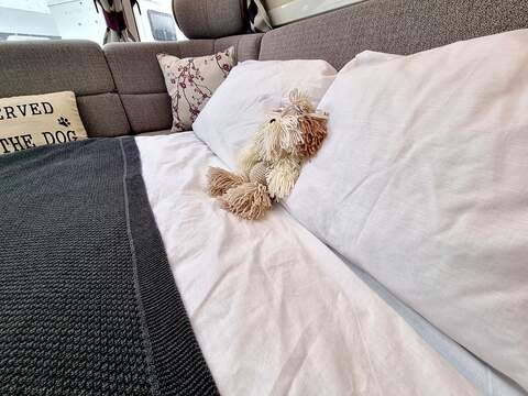 Adria Alpina Colorado  - U416