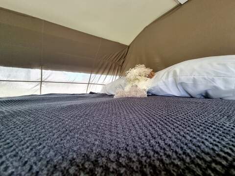 Mobilvetta K-Yacht Motorhome - U470