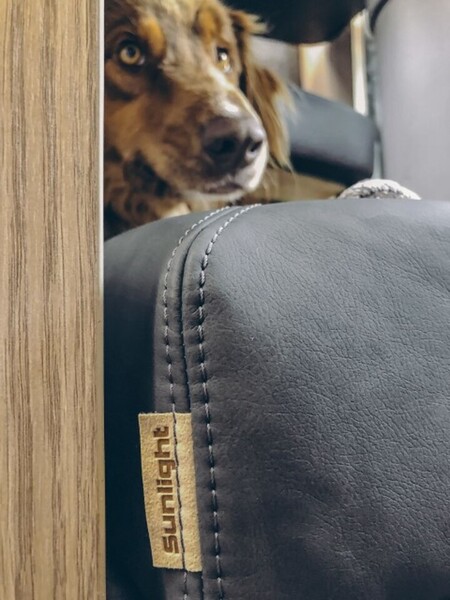 Sunlight Dog Bed Image 3