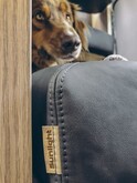 Sunlight Dog Bed Image 3