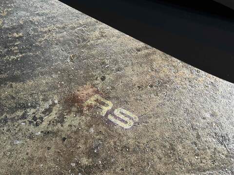 Audi RS4 Avant 2.9 TFSI V6 Tiptronic quattro Euro 6 (s/s) 5dr - U10002575