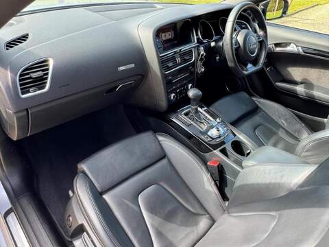Audi A5 TDI Black Edition Plus - U10002628