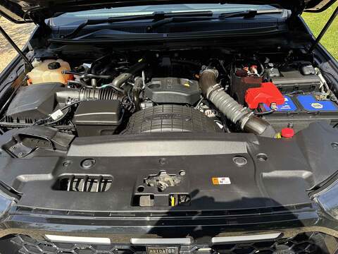 Ford Ranger Ranger 2.0 EcoBlue Wildtrak Auto 4WD Euro 6 (s/s) 4dr - U10002782