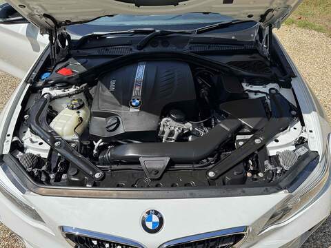BMW M2 3.0i Coupe 2dr Petrol DCT Euro 6 (s/s) (370 ps) - U10003014