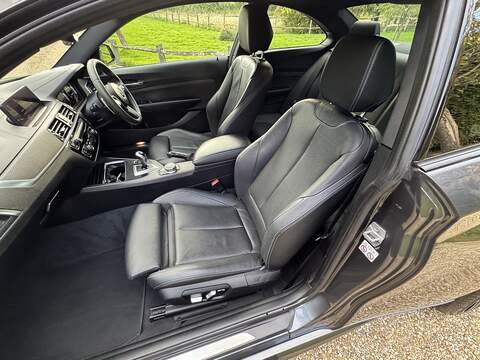BMW M2 3.0i Coupe 2dr Petrol DCT Euro 6 (s/s) (370 ps) - U10004457