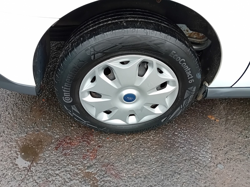 Ford Transit Connect 1.5 TDCi 240 Trend Panel Van 5dr Diesel Powershift L2 H1 (129 g/km, 118 bhp) - U1795