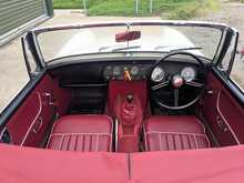 MG Midget  - U145