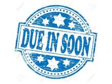 Ford Transit 350 Leader EcoBlue L2H2 DCIV 