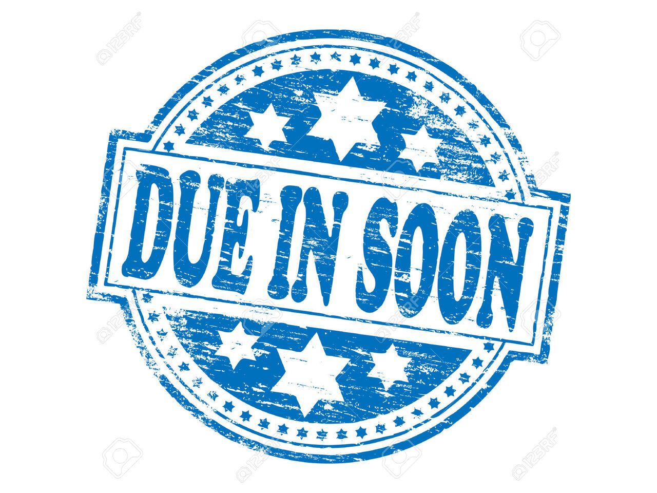 Used 2020 Ford EcoSport T EcoBoost STLine For Sale in Aberdeenshire