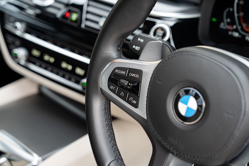 BMW 5 Series 530d MHT M Sport - Large 29
