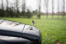 Rolls-Royce Wraith V12 - U837