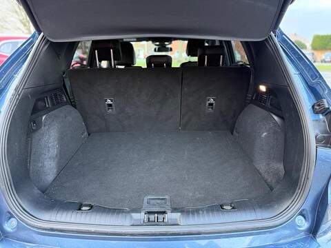 Ford Kuga 2.0 EcoBlue MHEV ST-Line Euro 6 (s/s) 5dr - U79848