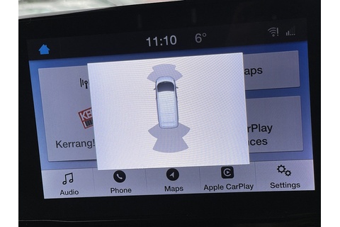 2.0 300 EcoBlue Limited Panel Van 5dr Diesel Manual L1 H1 Euro 6 (s/s) (130 ps)