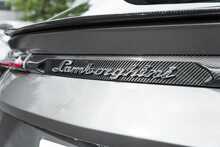 Lamborghini Urus V8 - U1611