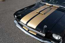 Ford Mustang Shelby GT350H Hertz Rent-A-Racer - U1868