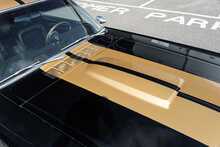 Ford Mustang Shelby GT350H Hertz Rent-A-Racer - U1868