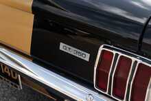 Ford Mustang Shelby GT350H Hertz Rent-A-Racer - U1868