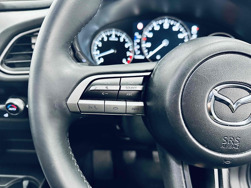 Mazda CX-30 e-SKYACTIV X MHEV SE-L Lux - U2113