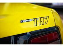 Triumph TR7  