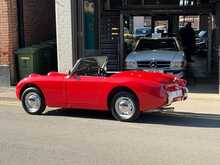 Austin Healey Frogeye Sprite  