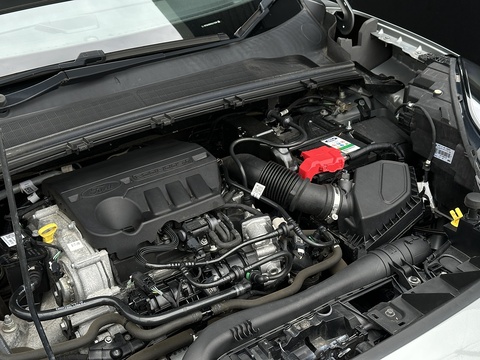 1.0T EcoBoost MHEV ST-Line X First Edition SUV 5dr Petrol Manual Euro 6 (s/s) (125 ps)