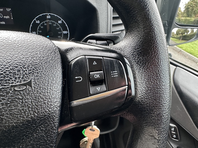 Ford 300 EcoBlue Panel Van 2.0 Manual Diesel