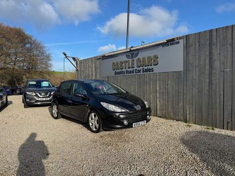 Peugeot 307 Sport - U1519