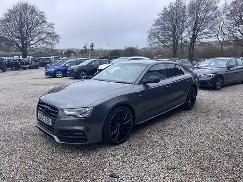 Audi A5 TDI Black Edition Plus - U1599