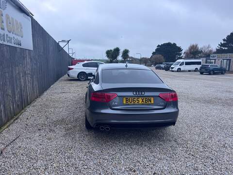 Audi A5 TDI Black Edition Plus - U1599