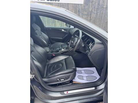 Audi A5 TDI Black Edition Plus - U1599