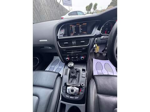 Audi A5 TDI Black Edition Plus - U1599