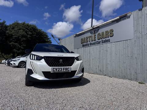 Peugeot 2008 PureTech GT - U1817