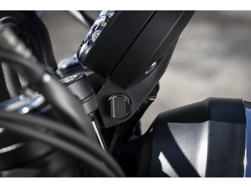 Royal Enfield NEW ROYAL ENFIELD INT650 BEAR