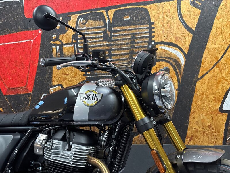 Royal Enfield NEW ROYAL ENFIELD INT650 BEAR