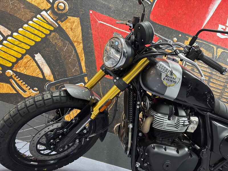 Royal Enfield NEW ROYAL ENFIELD INT650 BEAR