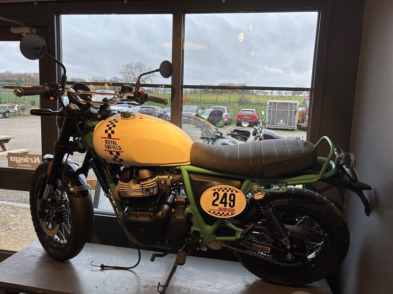 Royal Enfield NEW ROYAL ENFIELD INT650 BEAR
