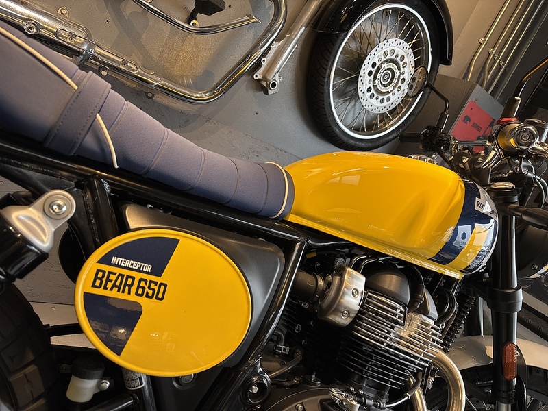 Royal Enfield NEW ROYAL ENFIELD INT650 BEAR