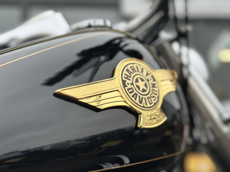 Harley-Davidson 2005 HARLEY DAVIDSON 1550 FATBOY ANNIVERSARY 14196 MILES