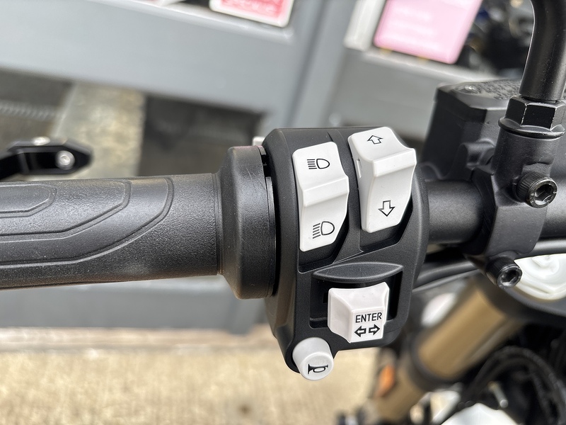 Ducati 1100 Special Roadster/Retro Petrol Manual Euro 4 (87 ps)