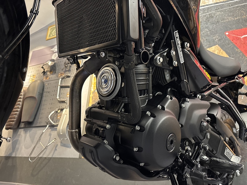 Royal Enfield 450 Adventure Petrol Manual Euro 5 (40 ps)