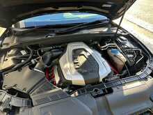 Audi S5 TFSI V6 Black Edition - U1261