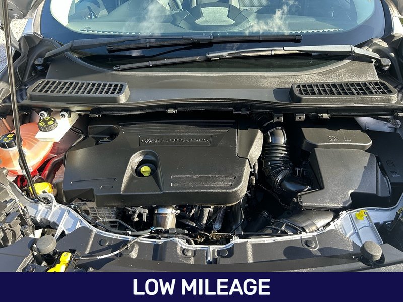 Ford Kuga TDCi EcoBlue Zetec - U1724