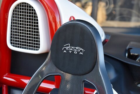 Atom Mugen (1 of 10)