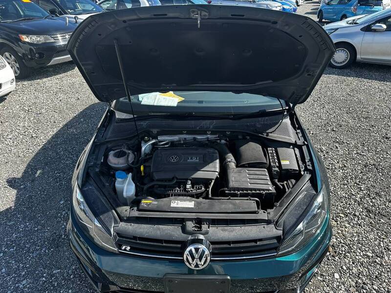 Volkswagen R Dsg Hatchback 2.0 Semi Auto Petrol