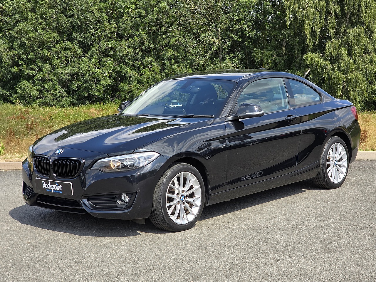 2016 BMW 2 Series thumbnail 18