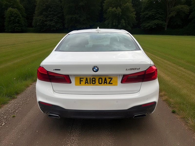 BMW 3.0 530d M Sport Saloon 4dr Diesel Auto xDrive Euro 6 (s/s) (265 ps)